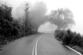 Road to nowhere. Woman walking in fog nature, on the middle a mo Royalty Free Stock Photo