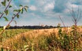 Road to the Orthodox church, sunflower field. Royalty Free Stock Photo