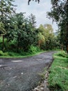 road to the Papandayan crater area, Garut district Royalty Free Stock Photo