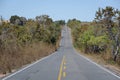 Road to Pocone, Pantanal, Mato Grosso, Brazil, South America Royalty Free Stock Photo
