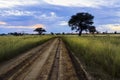 Lonely desert road through grassland Royalty Free Stock Photo