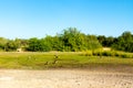 Road to Safari Park on Sir Bani Yas Island, Abu Dhabi, United Arab Emirates