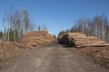 The road to the sawmill in the depths of the Urals