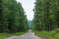 The road to Sekirnaya mountain on Solovki.