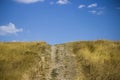 Road to sky. landscape with hills, road and blue sky. south of russia, summer. yellow grass in late August