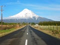 Road to a snow capped mount egmont Royalty Free Stock Photo