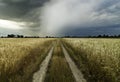 Road to a storm