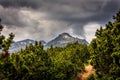 The road to the summit at Prin mountain in Bulgaria