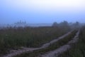 Road to the temple on a foggy evening