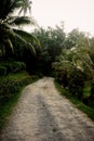 Road to Tempurung Seaside Lodge Royalty Free Stock Photo