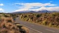 Road to Tongariro National park, New Zealand Royalty Free Stock Photo