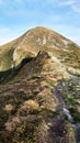 The road to the top of Hoverla, Ukraine Royalty Free Stock Photo