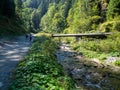 The road to Valea Sambetei chalet, Romania Royalty Free Stock Photo