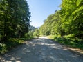 The road to Valea Sambetei chalet, Romania Royalty Free Stock Photo