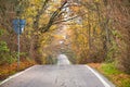 Road to vanishing point in fall colors Royalty Free Stock Photo