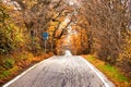 Road to vanishing point in fall colors Royalty Free Stock Photo