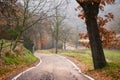 Road to vanishing point in fall colors Royalty Free Stock Photo