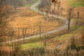 Road to vanishing point in fall colors Royalty Free Stock Photo