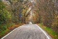 Road to vanishing point in fall colors Royalty Free Stock Photo