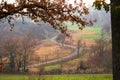 Road to vanishing point in fall colors Royalty Free Stock Photo