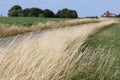 Road to the village on Bornholm island Denmark Royalty Free Stock Photo