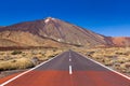 Road to volcano Teide at Tenerife island - Canary Royalty Free Stock Photo