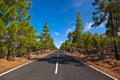 Road to volcano Teide at Tenerife island - Canary Royalty Free Stock Photo