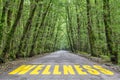 Road to wellness Royalty Free Stock Photo