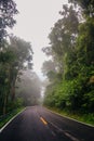 Road in to the wild Royalty Free Stock Photo