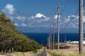 Road to windmill farm near Upolu Point - 3