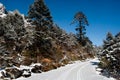 Road to Yumthang Valley