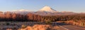 Road at Tongariro National Park and volcano Ngauruhoe, New Zeal