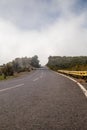 Road at the top of Madeira mountains Royalty Free Stock Photo