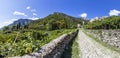 Road from town Sabbinoara to castle of Avio through vineyard in Royalty Free Stock Photo