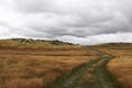 road tracks along the kettle hole trail, New Zealand Royalty Free Stock Photo