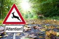 Road sign with deer crossing in the forest Royalty Free Stock Photo