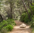 Road or trail blocked by big rock. Overcome an obstacle. Royalty Free Stock Photo