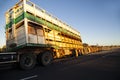 Road train cattle semi trailer accident on highway.