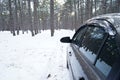 Road travel concept, empty country road in winter. Car in the winter pine forest. Winter trip Royalty Free Stock Photo