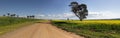 On the road less travelled Canowindra Australia