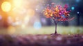 road tree bokeh vibrant charming