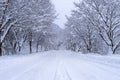 Road and tree covered by snow in winter Royalty Free Stock Photo