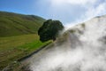 road with a tree in the middle fog and green mountains abruzzo Royalty Free Stock Photo