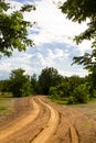 Road between tree Royalty Free Stock Photo