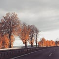 Road tree wintertime Sky Royalty Free Stock Photo