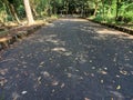 Road and trees in Al Zaytun Campus Indramayu