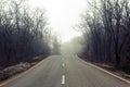 Road between the trees, bare autumn forest