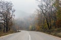 Road between the trees, bare autumn forest