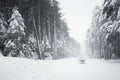 Road and trees in blizzard Royalty Free Stock Photo