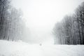 Road and trees in blizzard Royalty Free Stock Photo